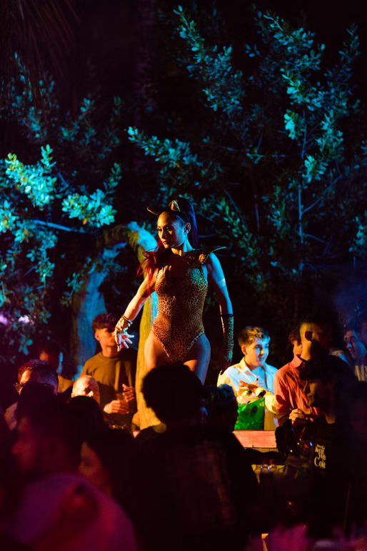punta-cana-passeios-maroca-discos (4)
